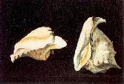 Napoletano, Filippo, Two Shells